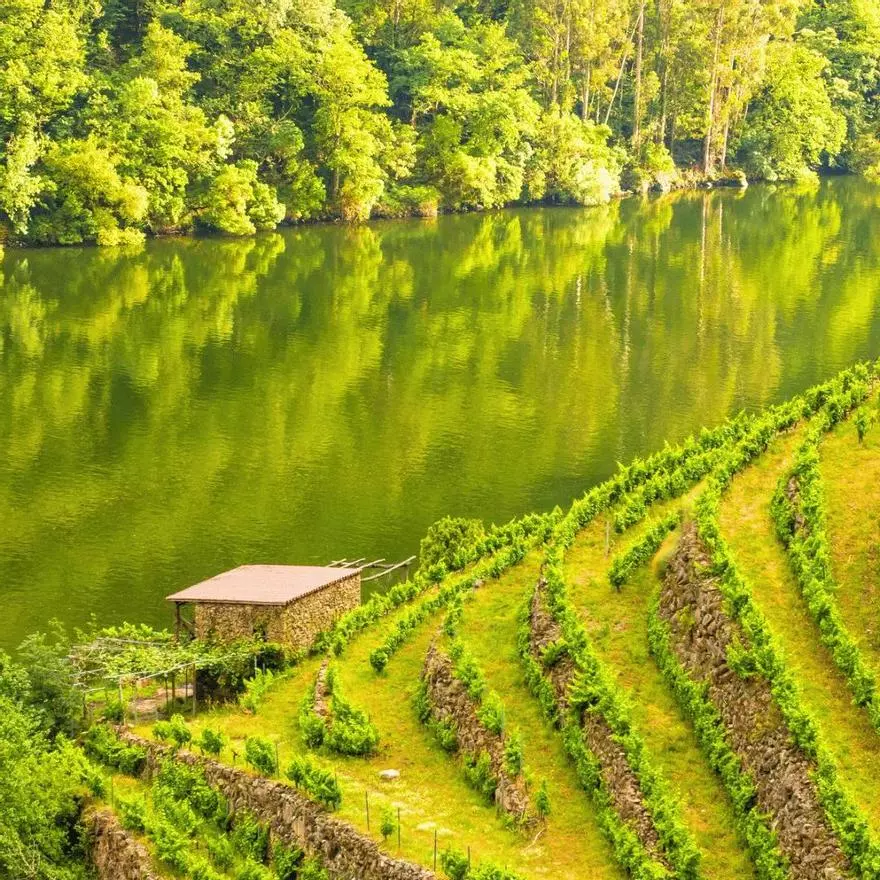 El periodista que dejó Madrid por una casa en ruinas de la Ribeira Sacra: "Este lugar te obliga a repensar el ritmo, el vínculo con la tierra"