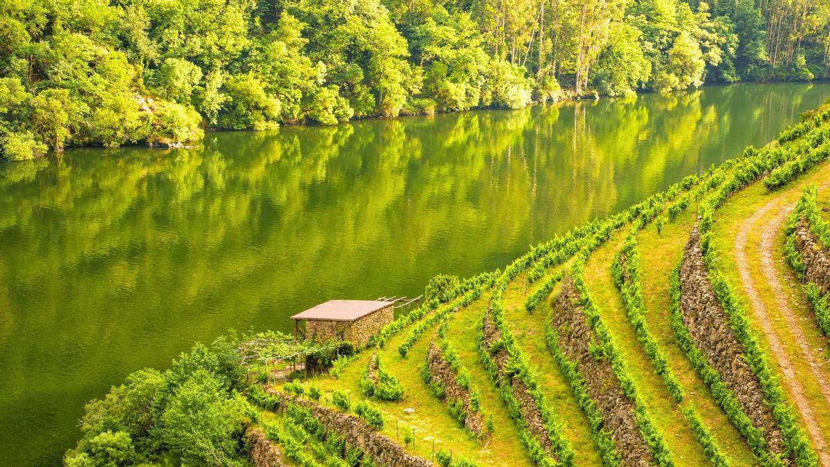El entorno gallego que inspira a nuevos vecinos a cambiar el ritmo de vida y reencontrarse con la naturaleza.