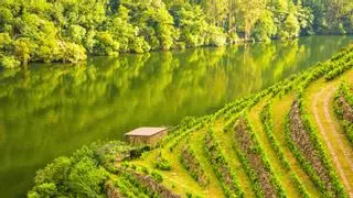 El periodista que dejó Madrid por una casa en ruinas de la Ribeira Sacra: "Este lugar te obliga a repensar el ritmo, el vínculo con la tierra"