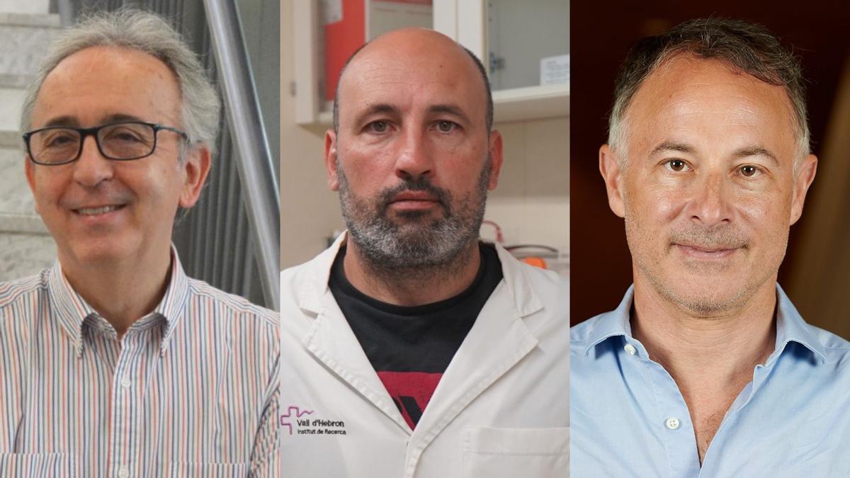 Los investigadores Jeffrey V. Lazarus, Antonio Zorzano y David Martínez Selva participarán en la jornada.