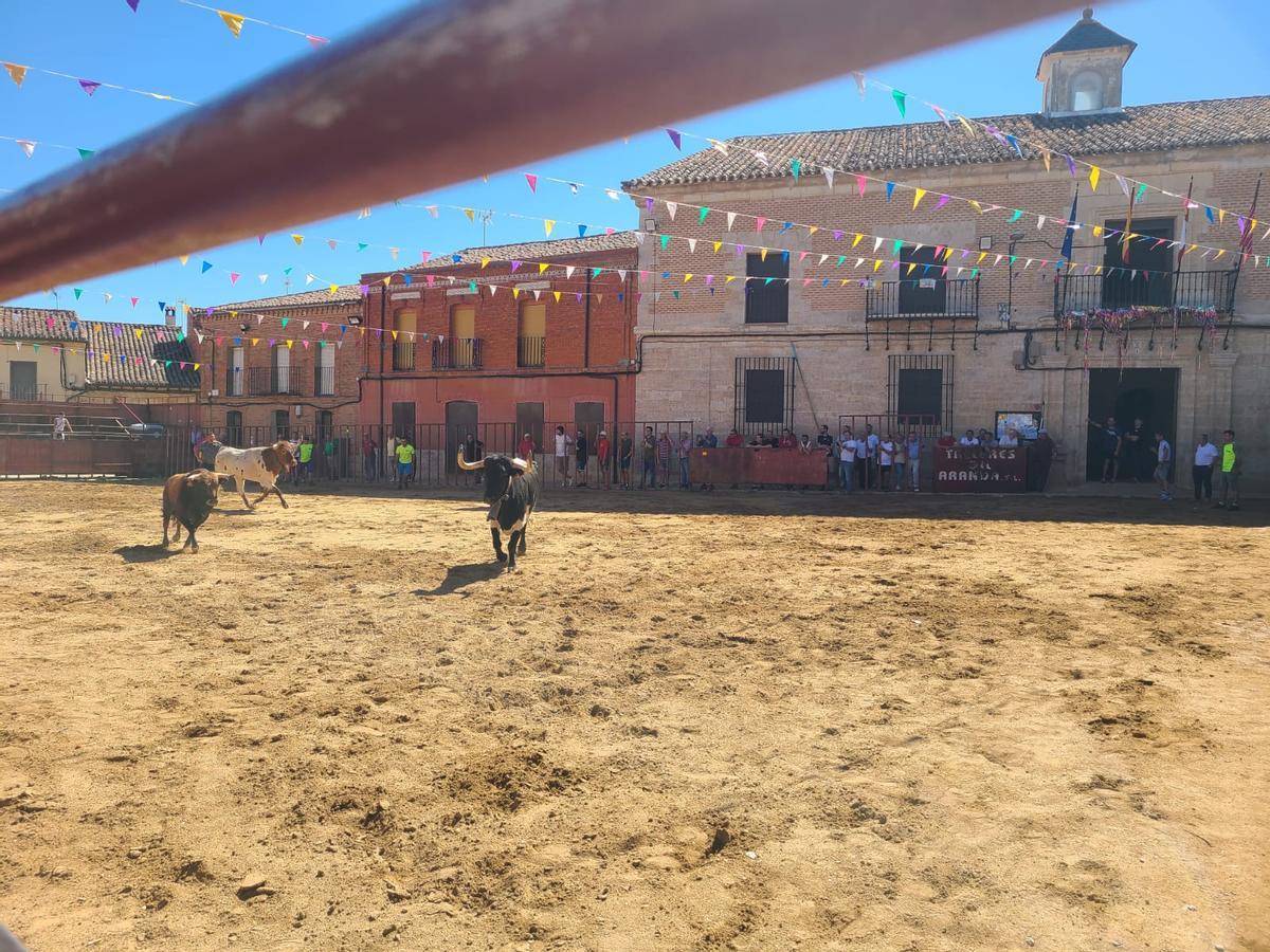 GALERÍA | Morales de Toro vive su primer encierro de las fiestas de San Roque 2024 GALERÍA | Morales de Toro vive su primer encierro de las fiestas de San Roque 2024