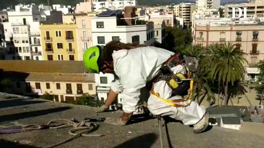 Arrancan los trabajos de mantenimiento de las murallas de Ibiza