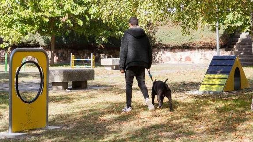 Un dueño con su perro pasea por el parque.