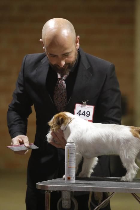 XXI Exposició Internacional Canina