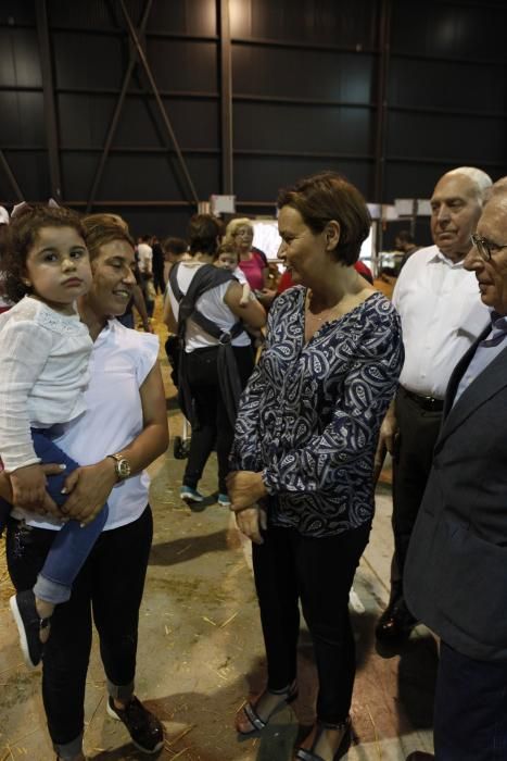 Feria ganadera de San Antonio