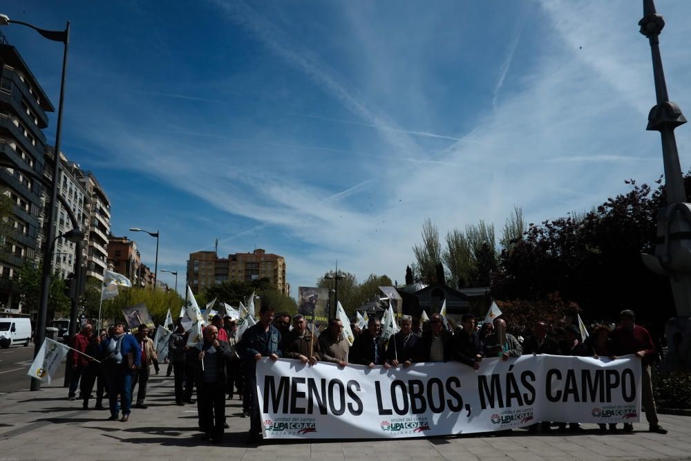 La Alianza se manifiesta en contra del lobo