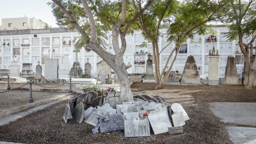 Comienzan las exhumaciones de 284 tumbas del cementerio antiguo de Palma