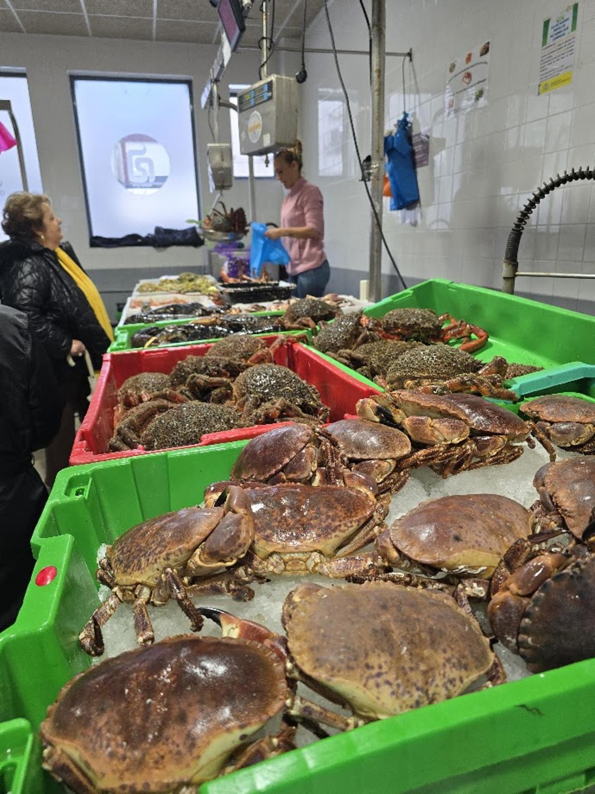 Buey de mar irlandés en la plaza de abastos de Vilagarcía.