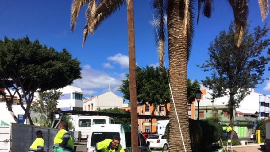 Empleados en Jinámar.