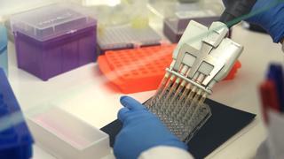 Se inician los ensayos en humanos de un fármaco que cura el cáncer de páncreas a ratones