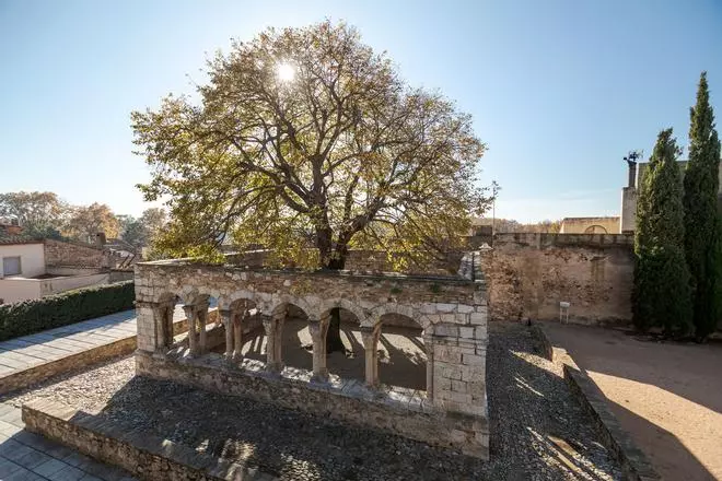 La piedra angular de la historia en el Alt Empordà