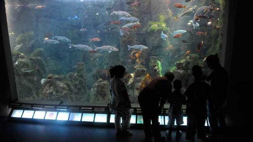 Un grupo de niños de visita en el Aquarium Finisterrae.