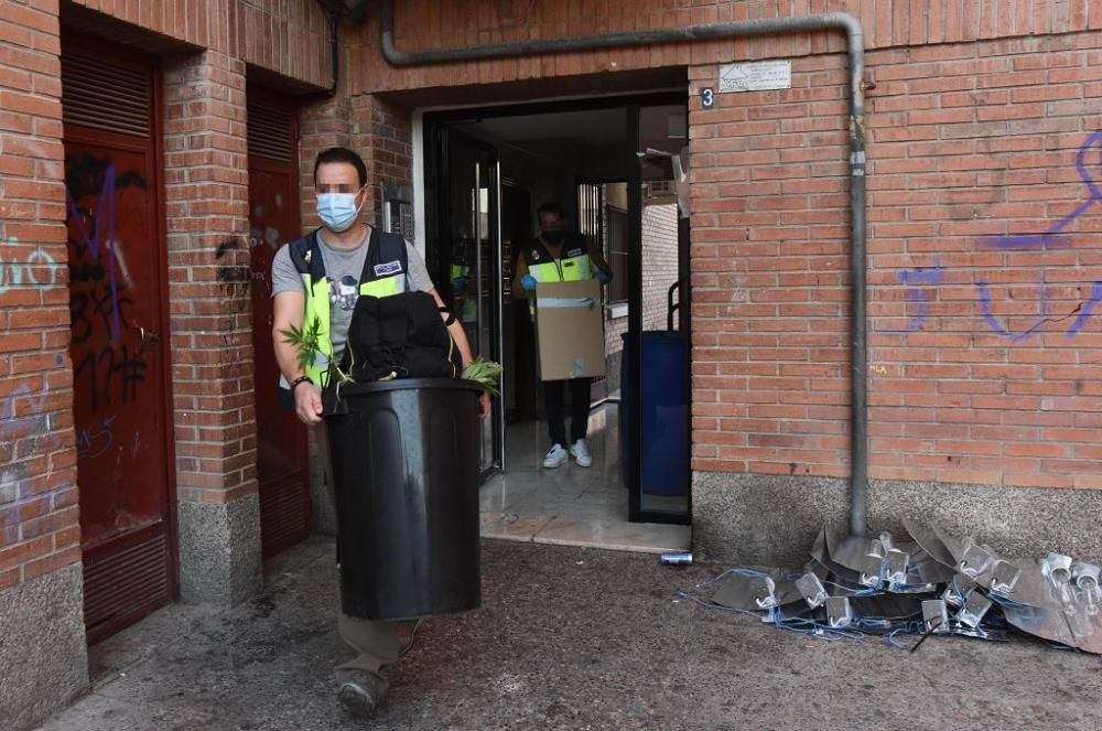 Hallan 300 plantas de marihuana en una casa del barrio del Infante de Murcia