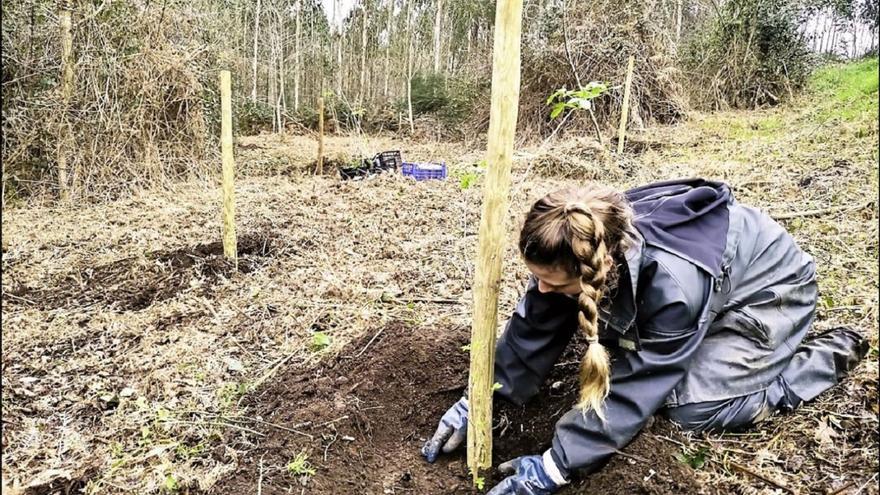 Voluntarios crean fragas na comarca para loitar contra o cambio climático
