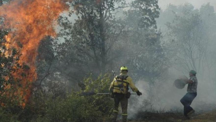 Un miembro de un retén contraincendios y un vecino participan en la extinción de un fuego en la comarca.