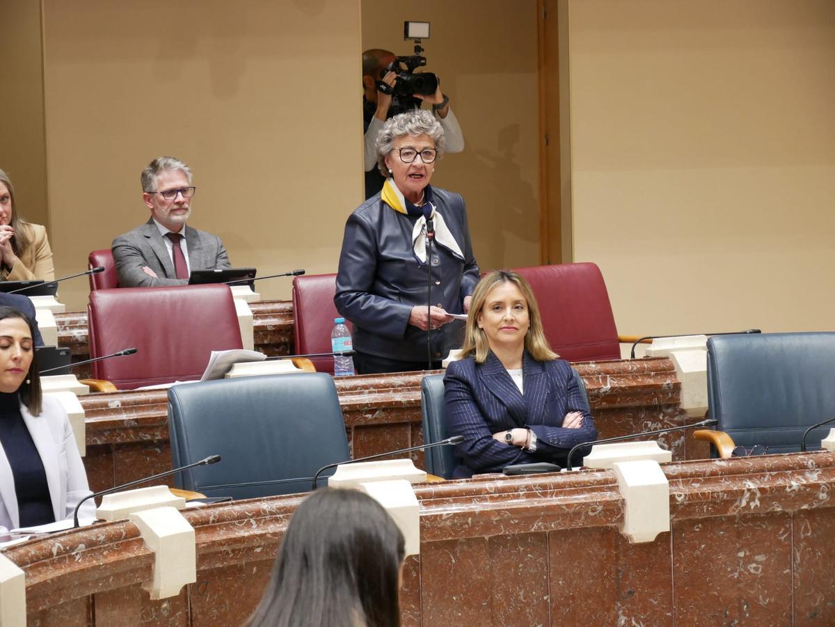 La diputada del Partido Popular, Maruja Pelegrín, en la Asamblea Regional.