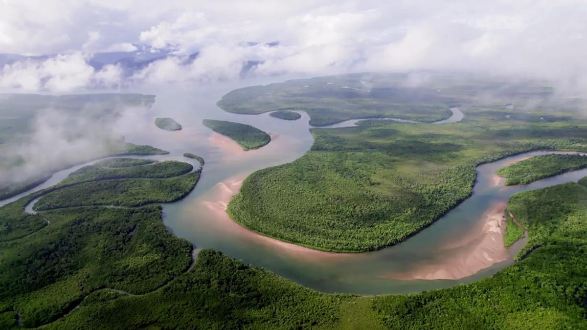 Un rincón de la Amazonía.