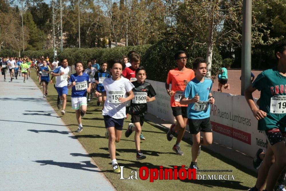 Final Cross Escolar de Lorca . Alevín masculino