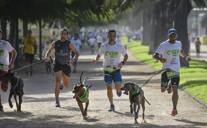 16/12/2018 LAS PALMAS DE GRAN CANARIA. Carrera ...