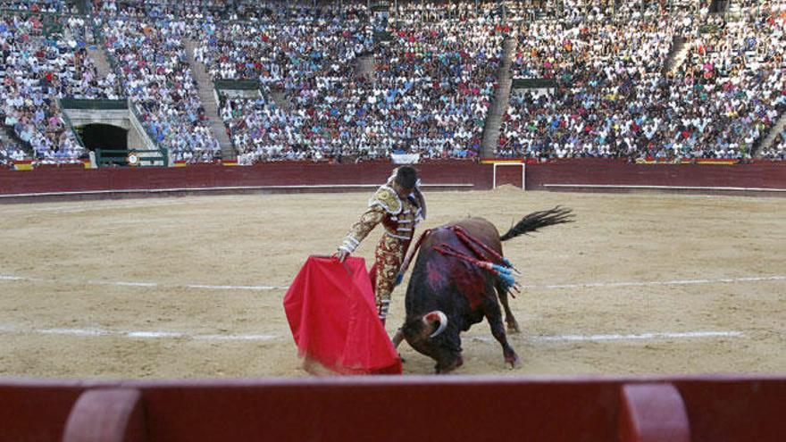 El Gobierno afirma que emitir toros no perjudica a los niños