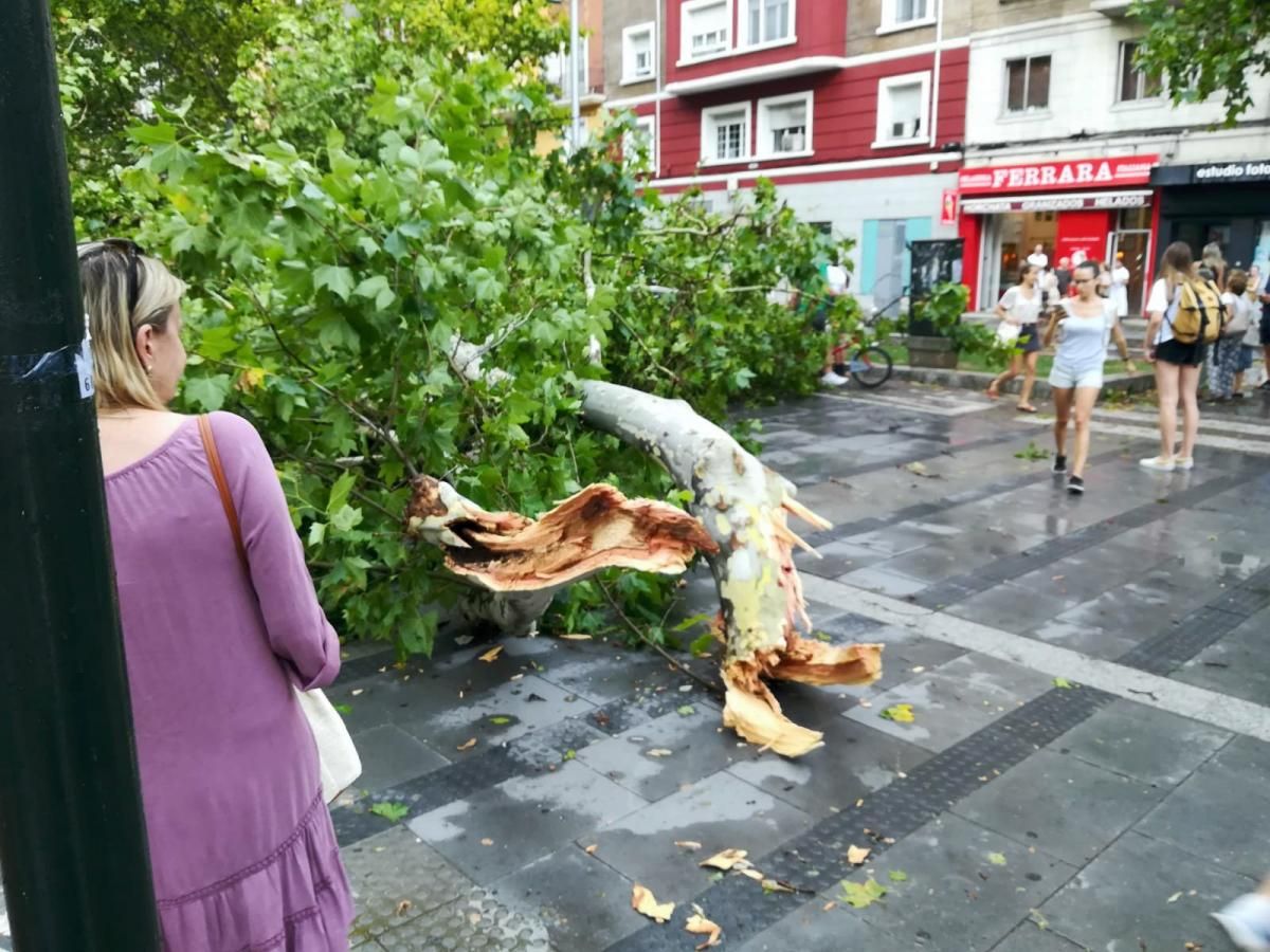 Consecuencias de la tormenta en Zaragoza