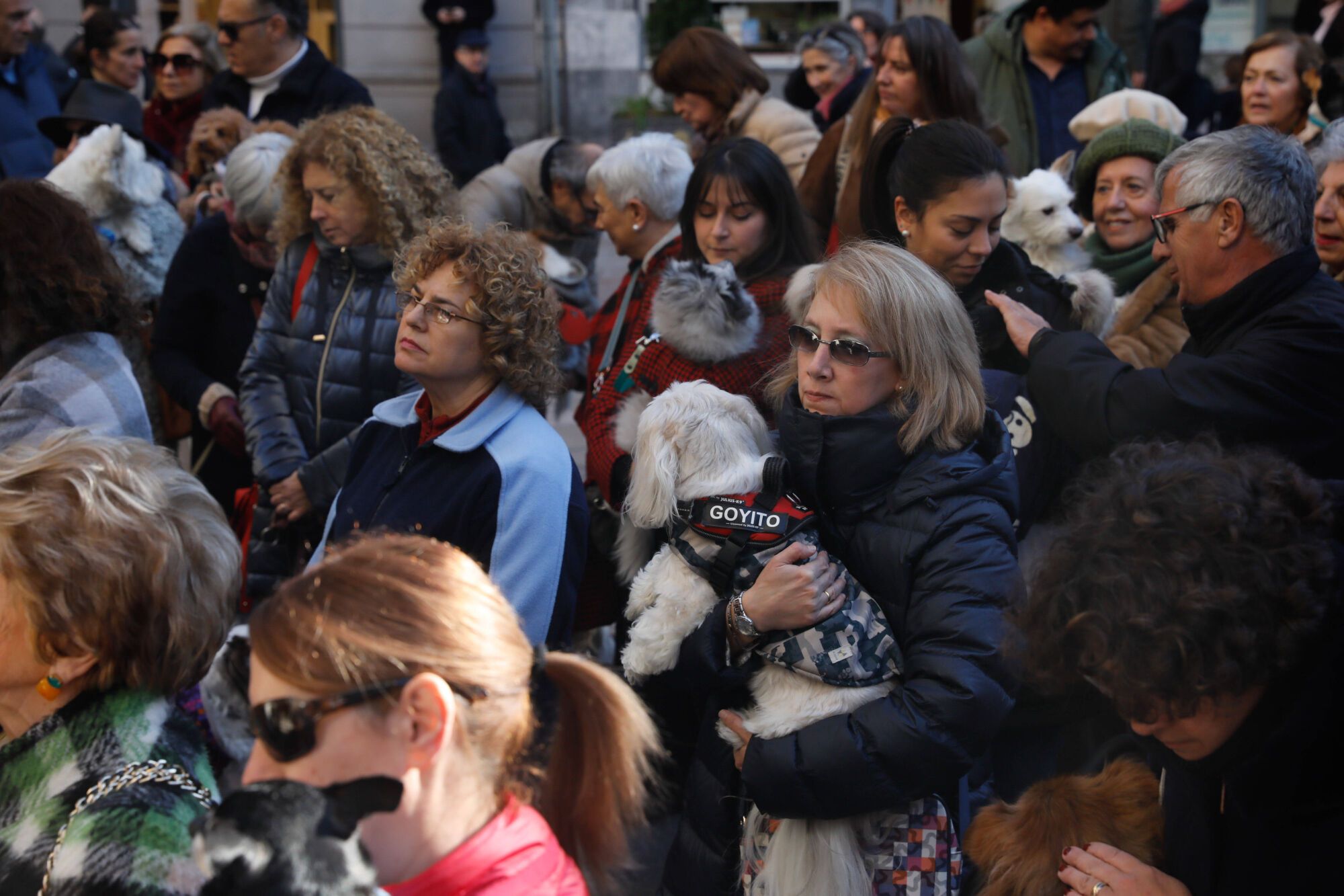 EN IMÁGENES: Bendición de mascotas por San Antón en la basílica de San Juan de Oviedo