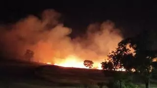 Un incendio de pastos moviliza a los bomberos en Badajoz