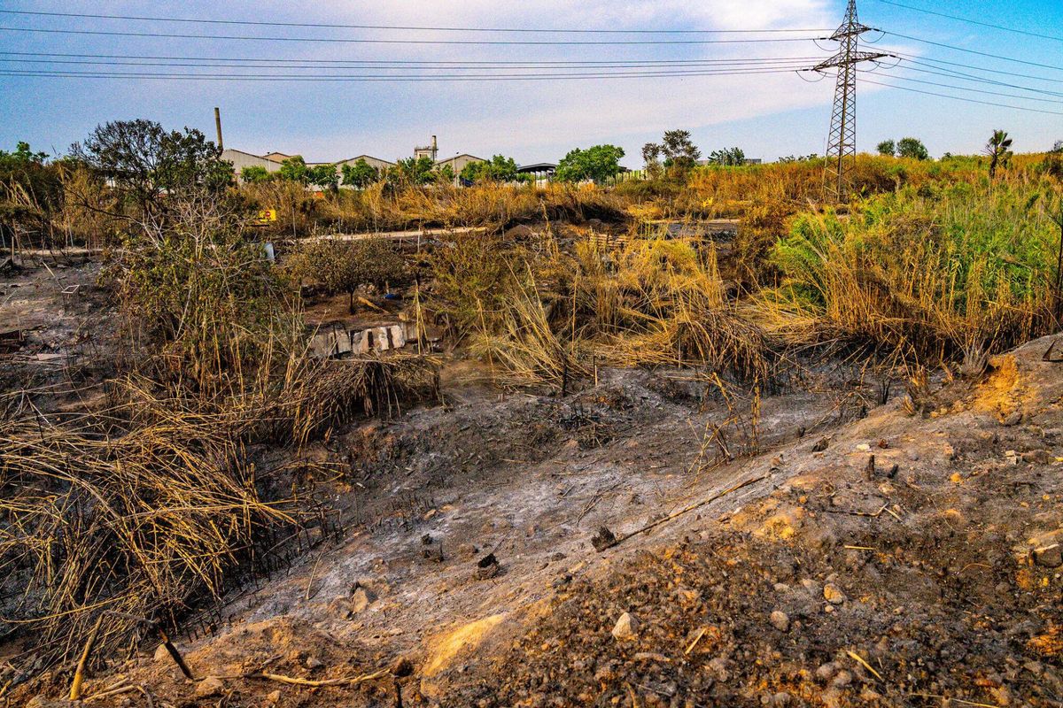 El 1 de julio de 2025, un día después del incendio, la tierra quemada se extiende por una parte de la zona de barracas cercana al Port de Barcelona, testimonio mudo del fuego que arrasó el lugar.
