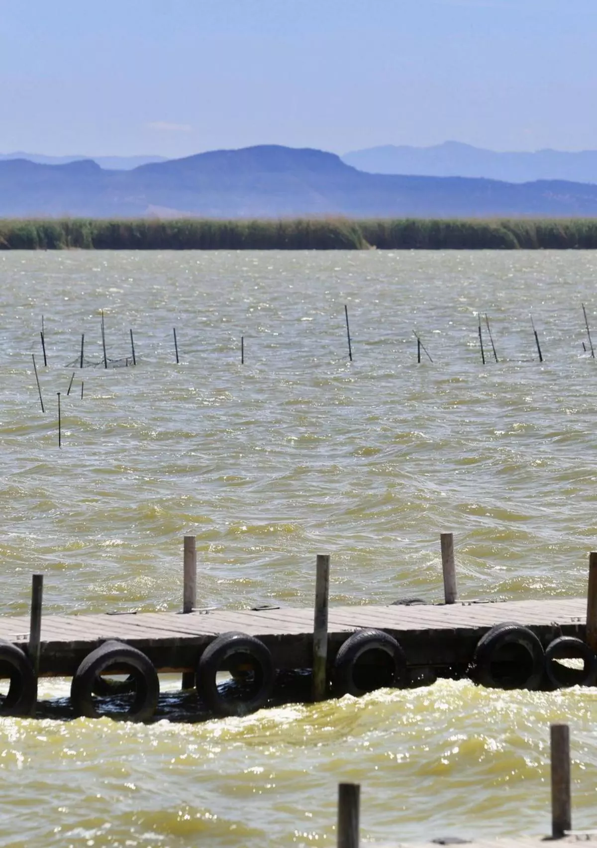 Un informe denuncia que los 50 hm3 de la CHJ "van al mar y los campos pero no al lago"