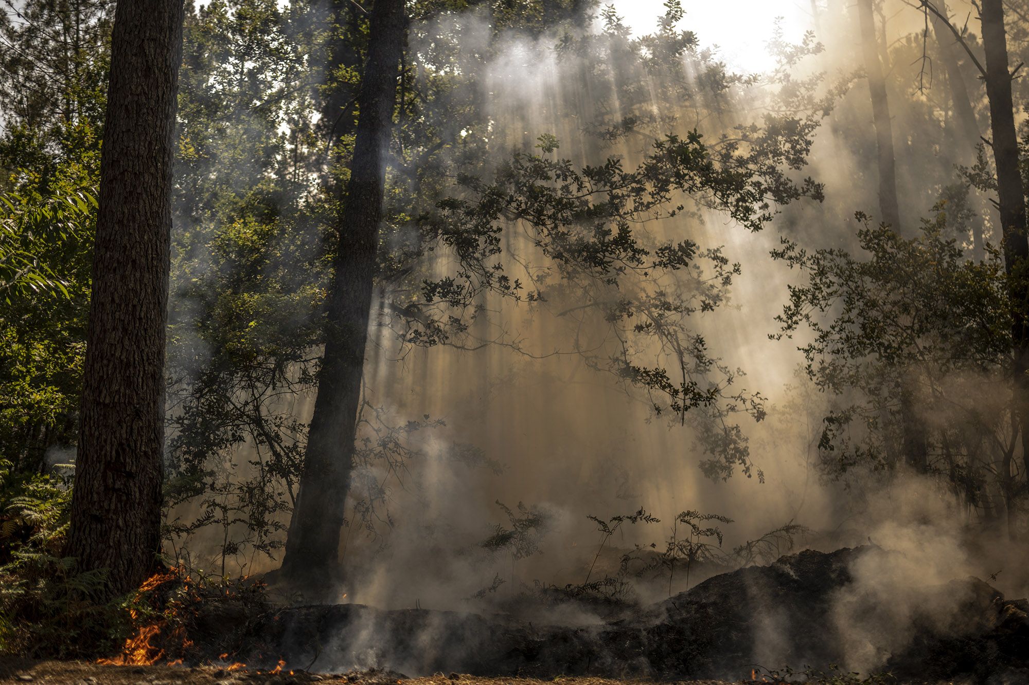 Efectivos antiincendios intentan apagar las llamas en O Irixo