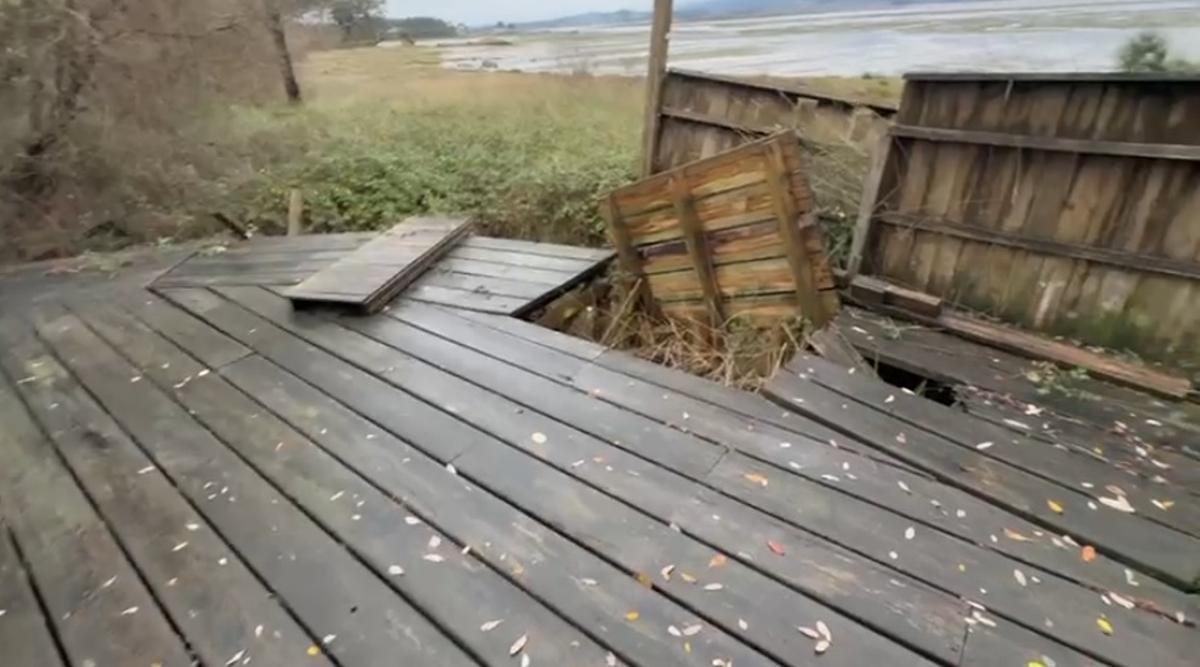 Uno de los observatorios de aves destrozados.