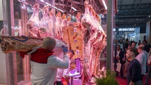 Exposición de piezas enteras de vacuno de la empresa Central de Carnes en la feria Alimentaria 2024.