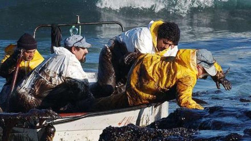 Marineros de Vigo, ayudando en las tareas de limpieza en el entorno de las Islas Cíes después de la catástrofe.  // Guillermo Cameselle