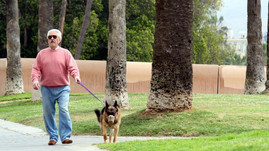 Un viandante pasea con su perro por la ciudad de Cartagena.