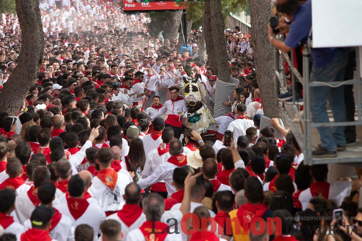 Así ha sido la carrera de los Caballos del Vino en Caravaca