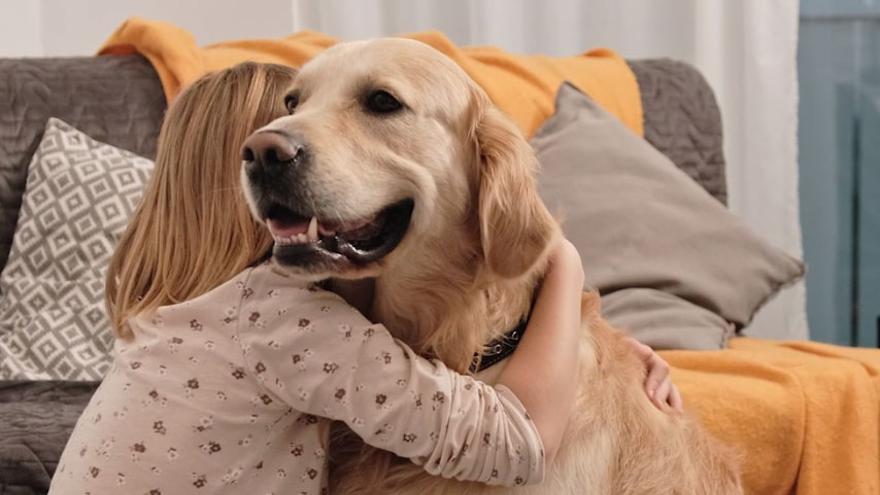 ¿Cuánto tiempo recuerda un perro a su dueño?