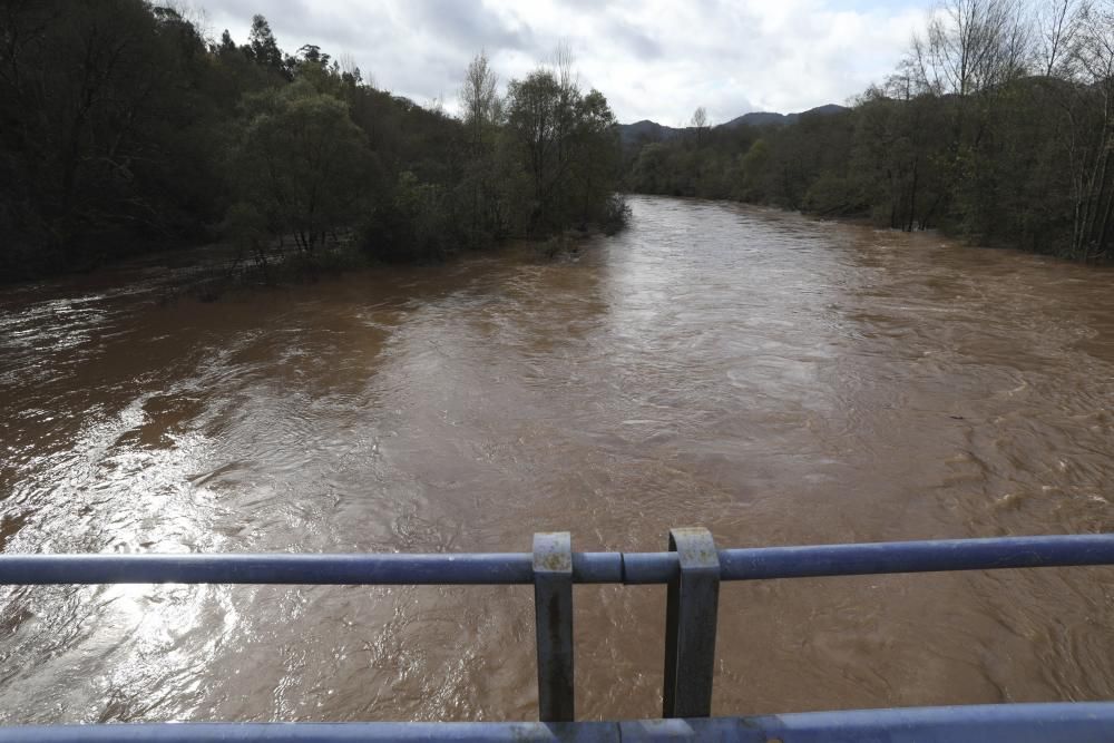 El río Nalón desbordado a su paso por Pravia y Quinzanas