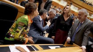 El presidente del Gobierno, Pedro Sánchez, conversa con la ministra de Educación, Pilar Alegría, el número tres del PSOE, Santos Cerdán, y la vicepresidenta primera, María Jesús Montero, durante un pleno en el Senado. 