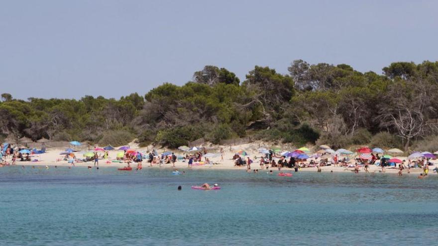 Hier ist man derzeit auf Mallorca mit am besten aufgehoben.