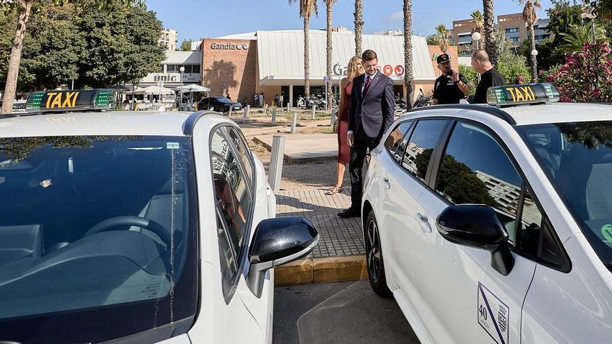 Gandia amplía su flota de taxis hasta las 41 licencias con la incorporación de siete nuevos vehículos