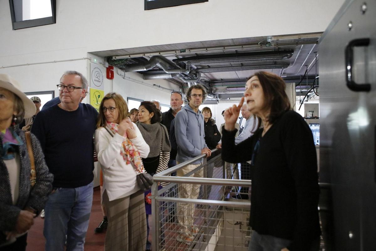 Rundgang in der Bodega Can Axartell.