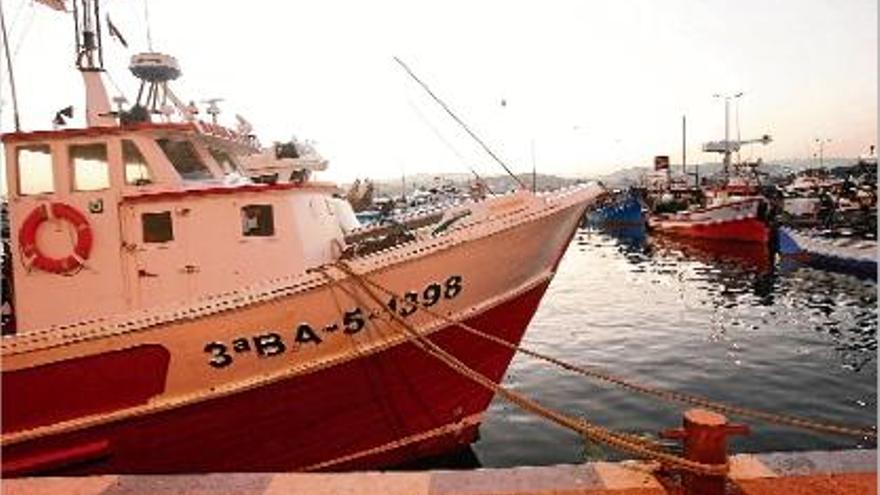 Embarcacions de pesca amarrades al port de Palamós, en una imatge d&#039;arxiu.