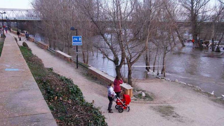 La subida del Duero anega los paseos ribereños