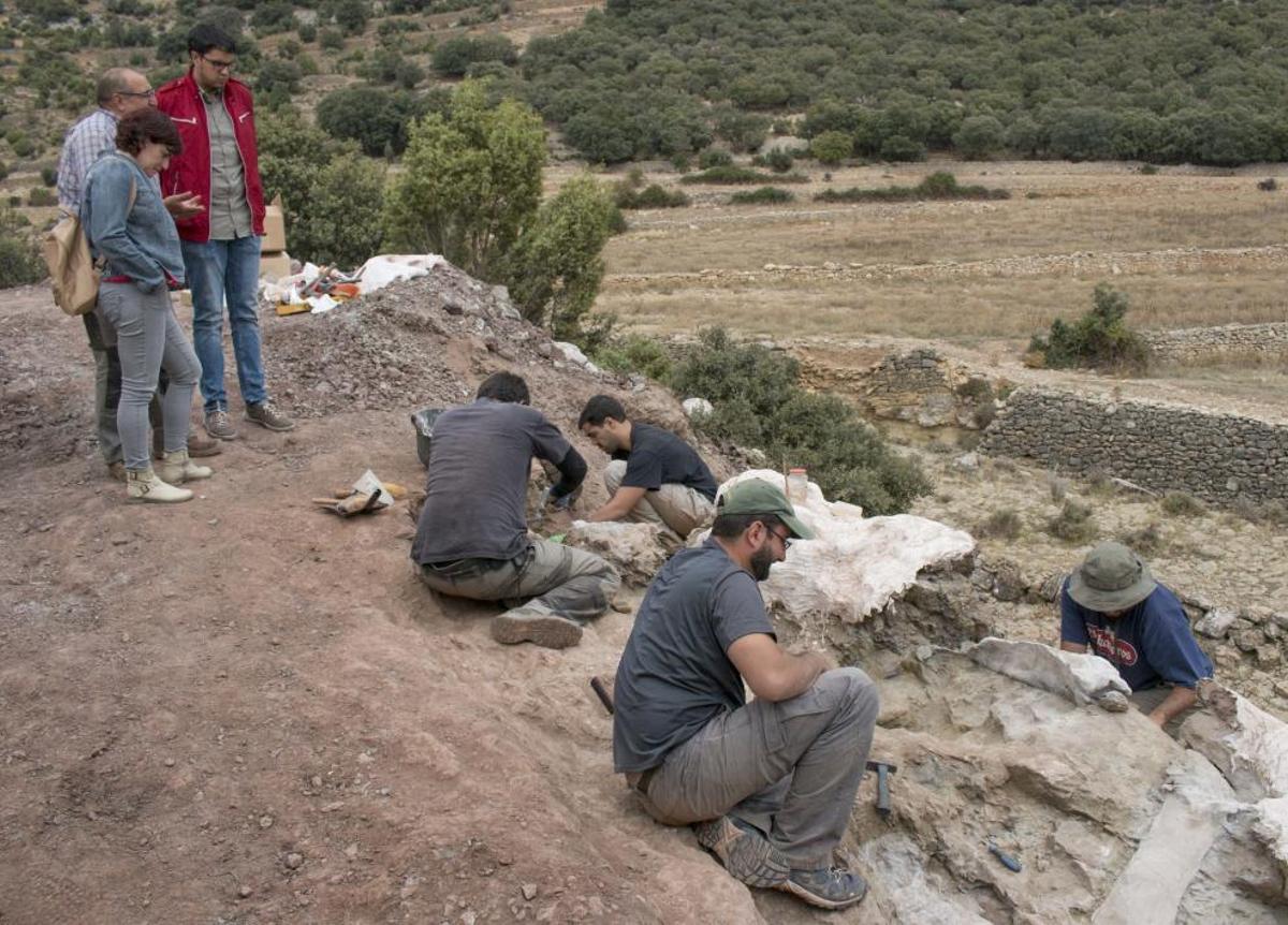 Descubierto un nuevo yacimiento de dinosaurios en Morella