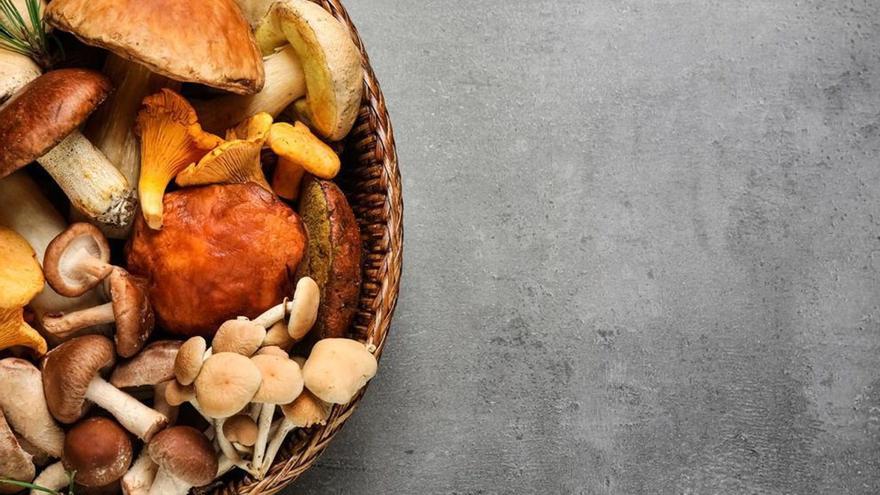 La falta de lluvias continuadas está reduciendo drásticamente la presencia de hongos en la isla. | SHUTTERSTOCK