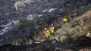 Efectivos del plan Infoex trabajan en la extinción de dos incendios forestales en Garrovillas y en Barcarrota