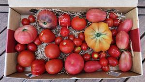 Una caja de tomates de Ametller Origen.