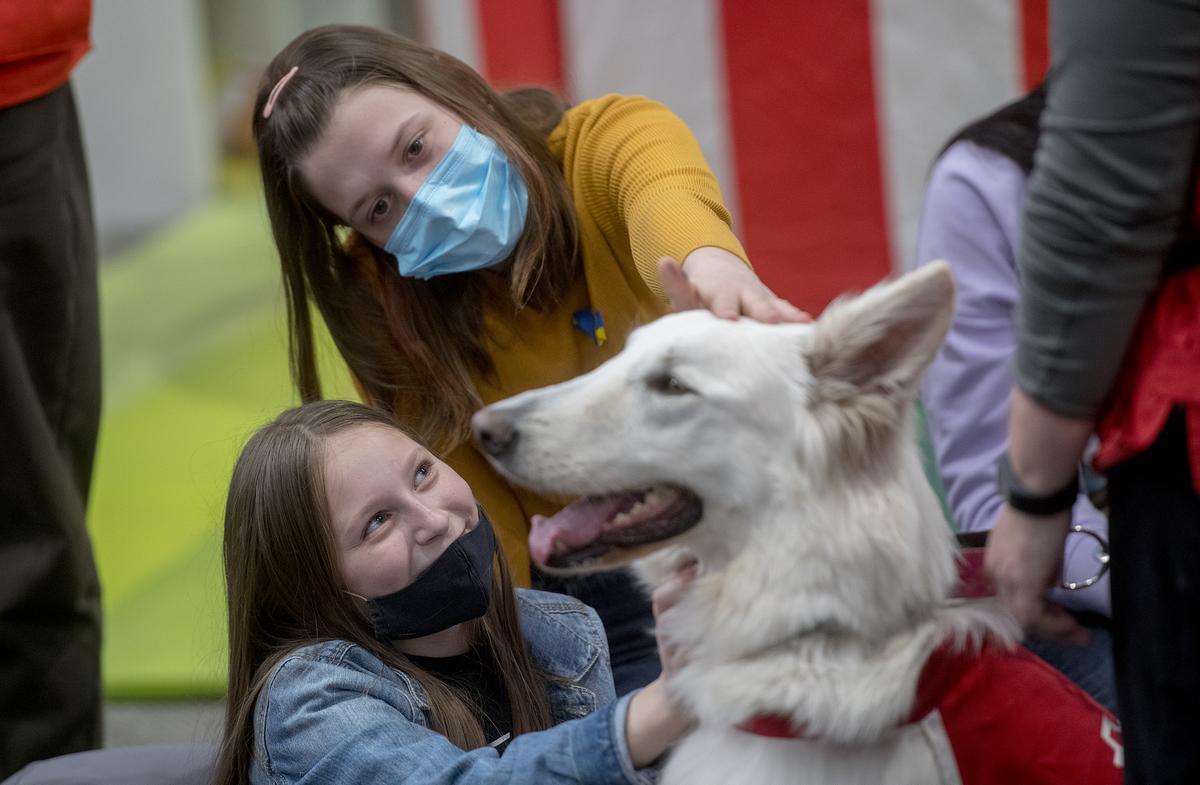 Els propietaris de gossos i aquest animals hauran de passar un test de sociabilitat