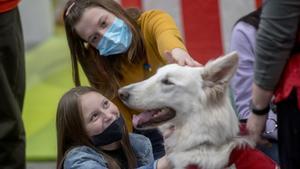 Els propietaris de gossos i aquest animals hauran de passar un test de sociabilitat