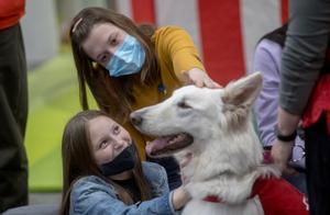 Els propietaris de gossos i aquest animals hauran de passar un test de sociabilitat